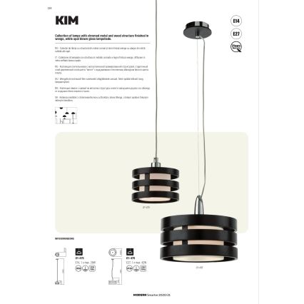 Redo 01-627 - Taklampa på stång KIM 4xE14/28W/230V blankkrom/svart