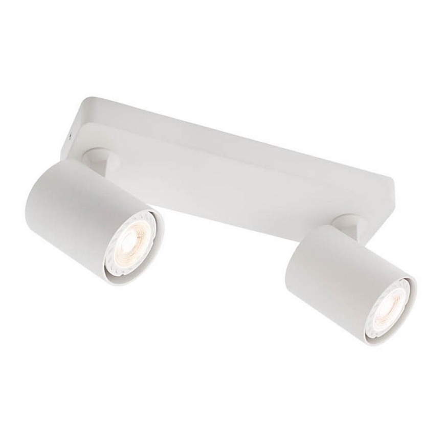 redo 04-469 - Spotlight CAMEO 2xGU10/50W/230V