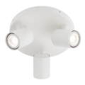 redo 04-471 - Spotlight CAMEO 3xGU10/35W/230V