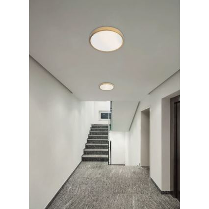 Redo 05-932 - LED Taklampa KNOB LED/36W/230V 3000K-6500K 40 cm guld