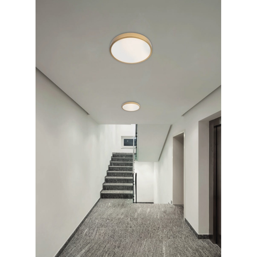 Redo 05-932 - LED Taklampa KNOB LED/36W/230V 3000K-6500K 40 cm guld