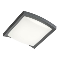 Redo 90007 - LED taklampa för utomhusbruk TALLIN LED/21W/230V 24,5x24,5 cm IP54 antracit