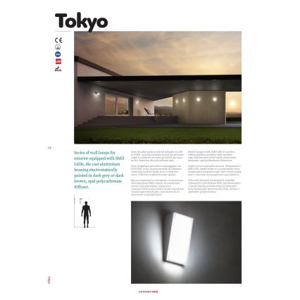 redo 90015 - LED Utomhus Väggbelysning TOKYO LED/12W/230V IP54