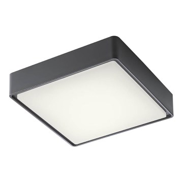Redo 90157 - LED taklampa för utomhusbruk MARINA LED/12W/230V 22x22 cm IP65 antracit