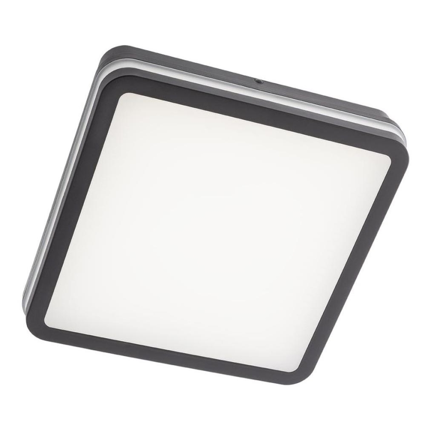 Redo 90288 - LED taklampa för utomhusbruk ISOLA LED/24W/230V 26x26 cm 3000/4000/6500K IP54 antracit