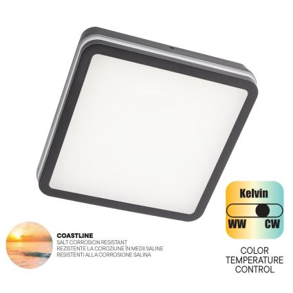 Redo 90288 - LED taklampa för utomhusbruk ISOLA LED/24W/230V 26x26 cm 3000/4000/6500K IP54 antracit