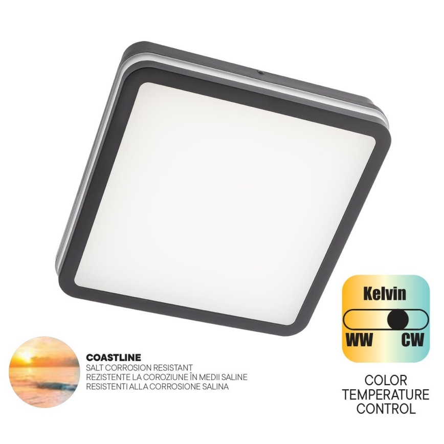 Redo 90288 - LED taklampa för utomhusbruk ISOLA LED/24W/230V 26x26 cm 3000/4000/6500K IP54 antracit