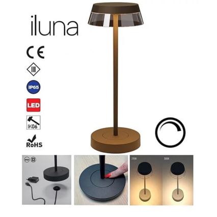 Redo 90308 - LED ljusreglerad bordslampa touch ILUNA LED/2,5W/5V 2700-3000K 3000 mAh IP65 brun