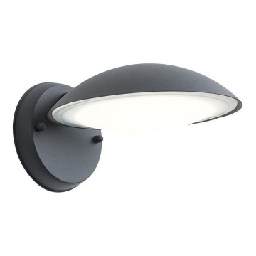 Redo 9617 - LED utomhus vägglampa CAPP LED/12W/230V IP54 antracit