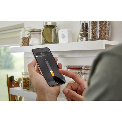 Rörelsesensor Philips Hue 2xAAA IP42