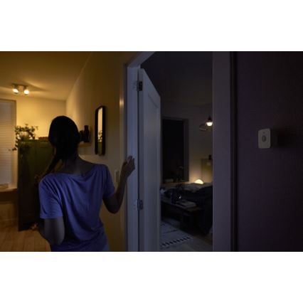 Rörelsesensor Philips Hue 2xAAA IP42
