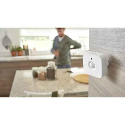 Rörelsesensor Philips Hue 2xAAA IP42