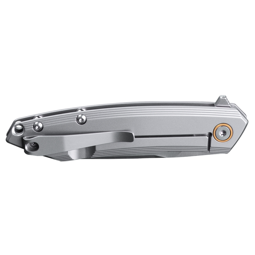 Ruike RUP831SSA - vikbar kompakt kniv 19,5 cm silver