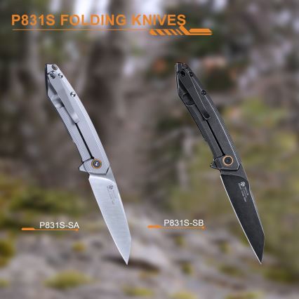 Ruike RUP831SSB - vikbar kompakt kniv 19,5 cm svart