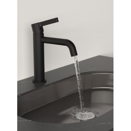 Sapho - Kran till handfat ICONIC 18,7 cm matt svart
