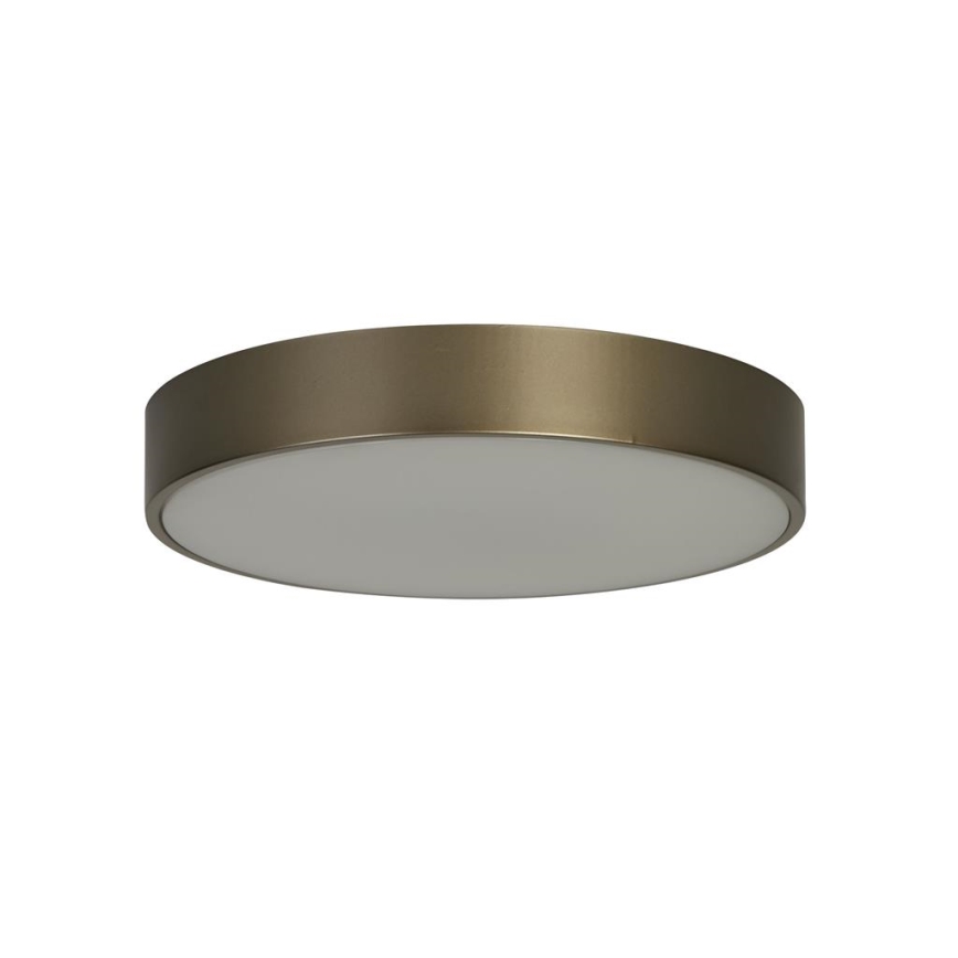 Searchlight - LED taklampa PALMA LED/12W/230V 3000K Ø 25 cm brons