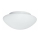Searchlight - Badrumsbelysning tak FLUSH 1xE27/60W/230V IP44