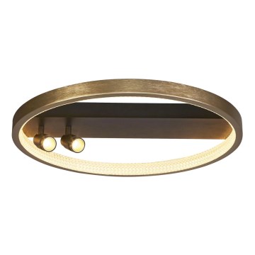 Searchlight - LED Dimbar taklampa GRACE LED/37,8W/230V