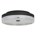 Searchlight - LED taklampa CYPRUS LED/21W/230V Ø 30 cm svart