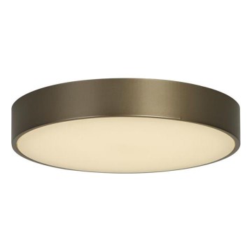 Searchlight - LED taklampa PALMA LED/12W/230V 3000K Ø 25 cm brons