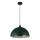 Searchlight - Pendellampa med kabel MARS 1xE27/60W/230V Ø 25 cm grön