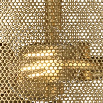 Searchlight - Takbelysning FISHNET 3xE27/60W/230V guld