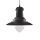 Searchlight - Takpendel FISHERMAN 1xE27/60W/230V svart