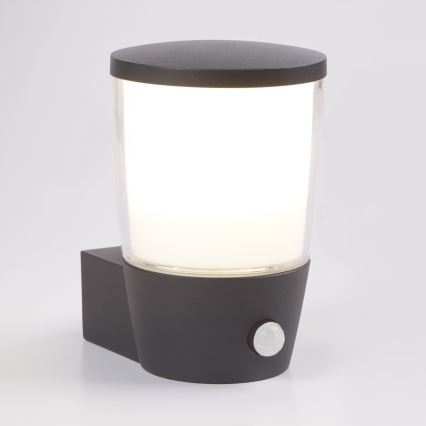 Searchlight - Utomhus Väggbelysning med sensor TUSCON 1xE27/7W/230V IP44