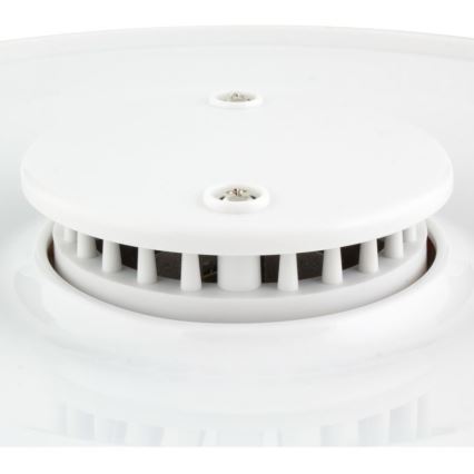 Sencor - Matberedare 250W/230V