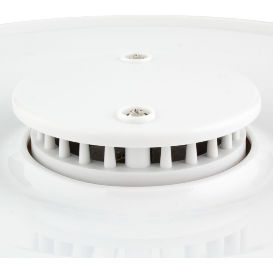 Sencor - Matberedare 250W/230V