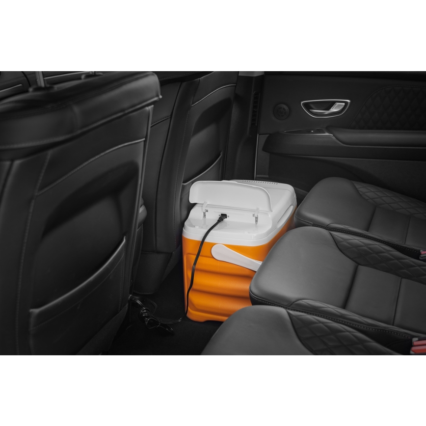 Sencor - Portabelt bilkylskåp 22 l 45W/12V orange/vit