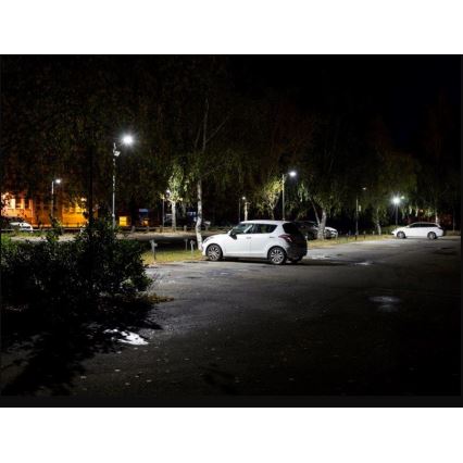 Sinclair - LED gatulampa LED/40W/230W 4000K IP65