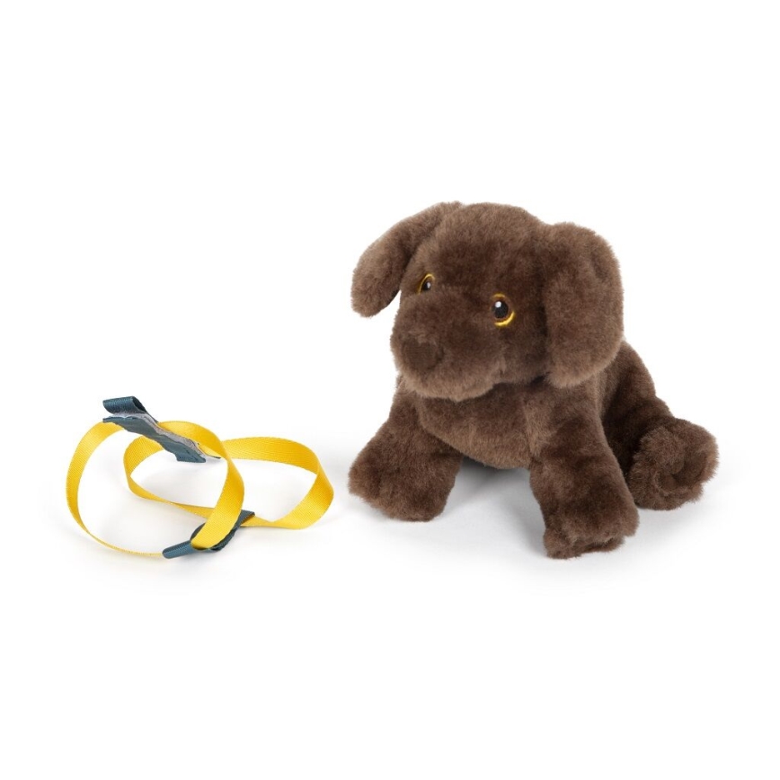 Small Foot - Plysch hund med vårdpaket