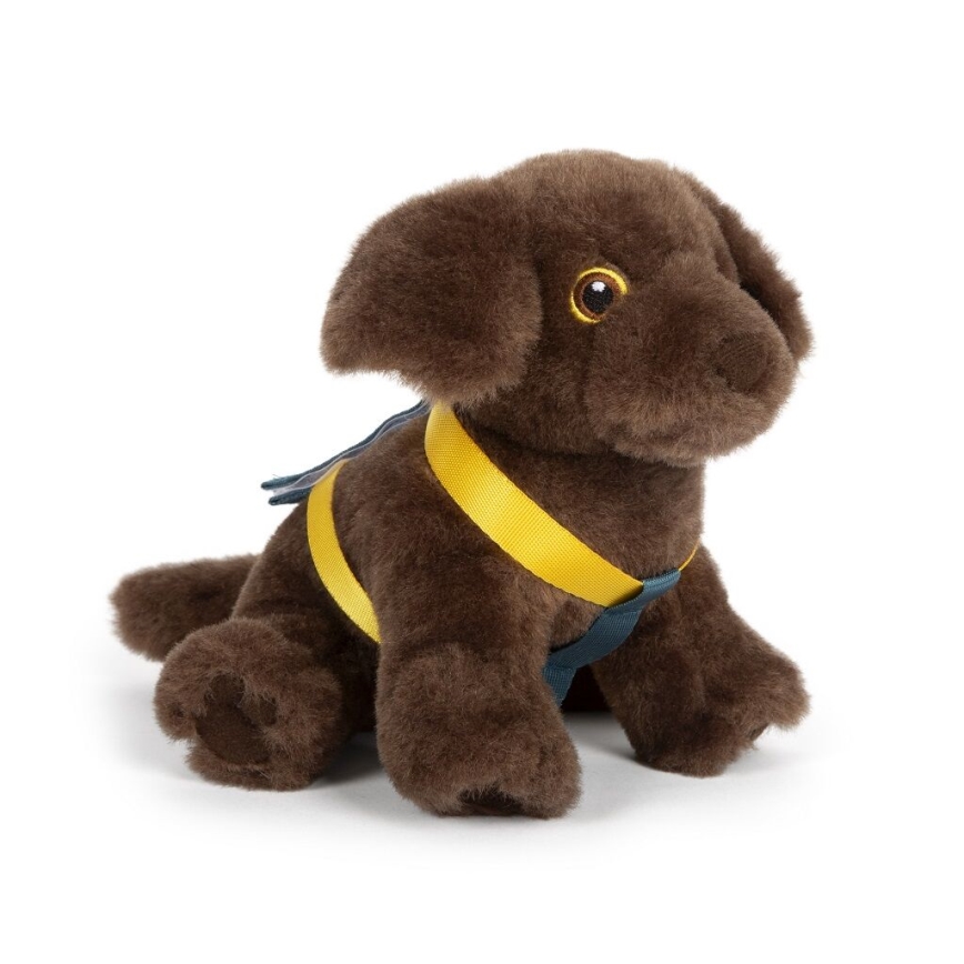 Small Foot - Plysch hund med vårdpaket