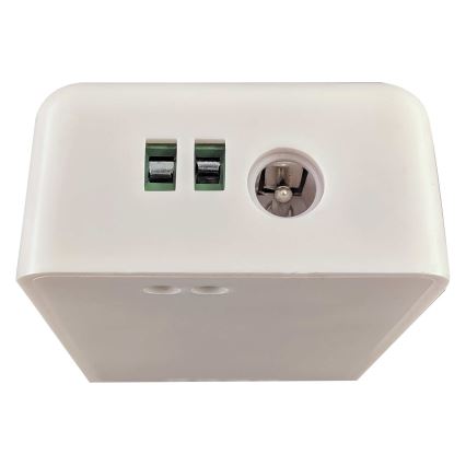 Smart kontroller för enfärgade LED slingor 5-24V Wi-Fi Tuya