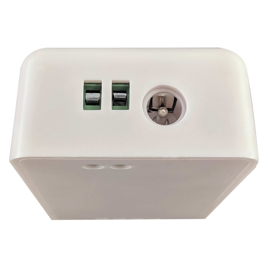 Smart kontroller för enfärgade LED slingor 5-24V Wi-Fi Tuya