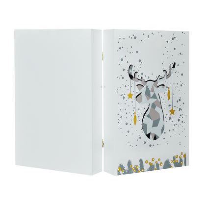 LED Adventskalender LED/2xAAA