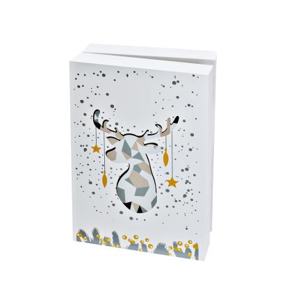 LED Adventskalender LED/2xAAA