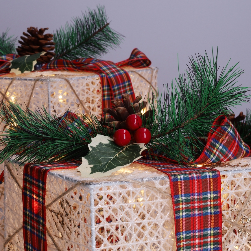 Set med 3x LED-julpresenter 48xLED/3,6W/230V IP44 varmvit