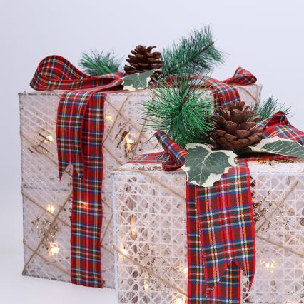 Set med 3x LED-julpresenter 48xLED/3,6W/230V IP44 varmvit