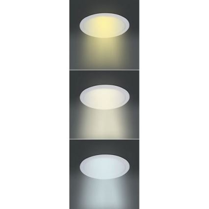 LED-panel LED/6W/230V 3000/4000/6000K Ø 12 cm vit