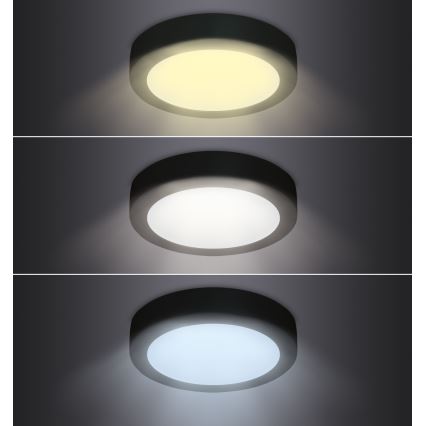 LED taklampa LED/12W/230V 3000/4000/6000K svart rund