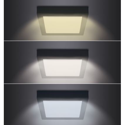 LED taklampa LED/18W/230V 3000/4000/6000K svart vinklat