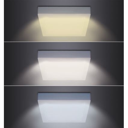 LED taklampa LED/18W/230V 3000/4000/6000K 22,5x22,5 cm vit