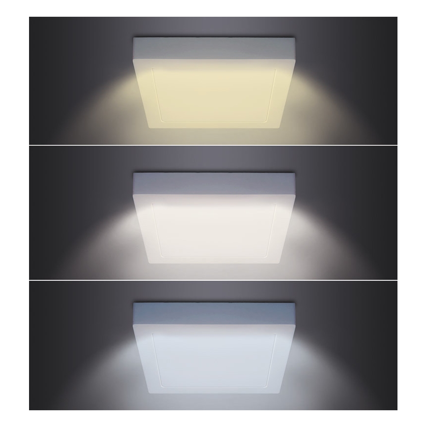 LED-taklampa LED/24W/230V 3000/4000/6000K 30x30 cm vit