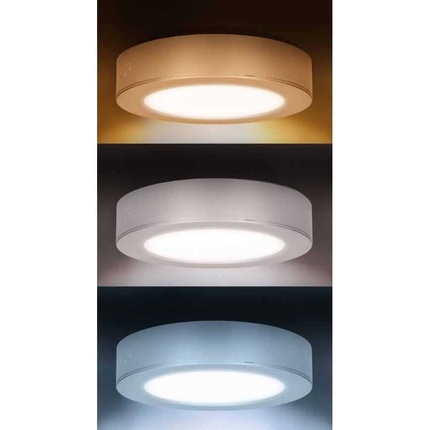 LED 2-i-1 yt-/infälld panel 12W/230V 3000/4000/6000K Ø17 cm IP54 silverfärgad