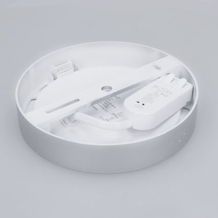 LED 2-i-1 yt-/infälld panel 12W/230V 3000/4000/6000K Ø17 cm IP54 silverfärgad