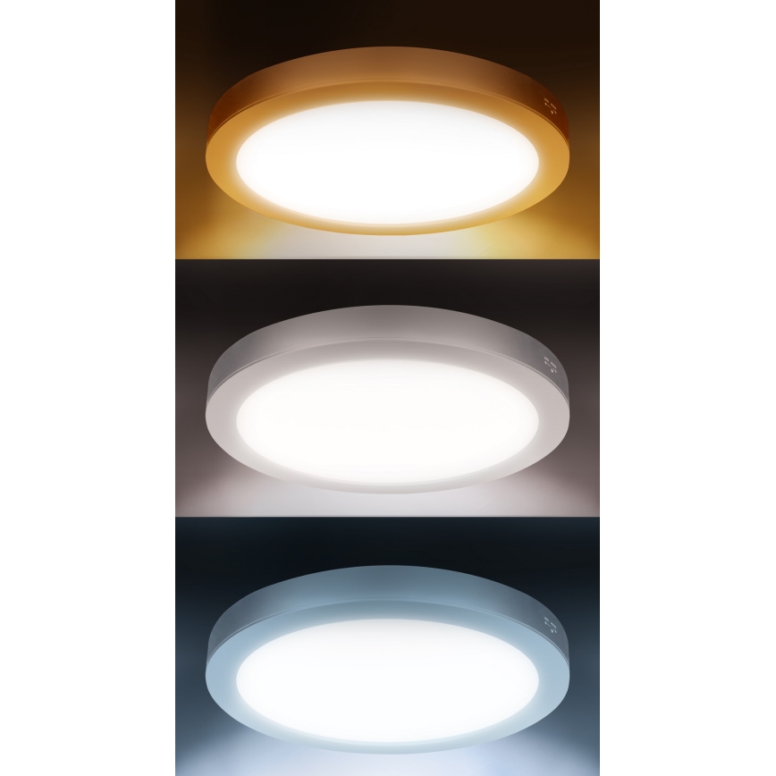LED ytmonterad/infälld panel 2-i-1 18W/230V 3000/4000/6000K Ø 22,5 cm IP54 silver