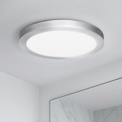 LED ytmonterad/infälld panel 2-i-1 24W/230V 3000/4000/6000K Ø 30 cm IP54 silver