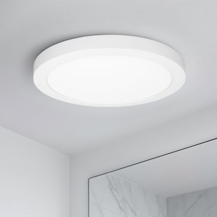 LED ytmonterad/infälld panel 2-i-1 24W/230V 3000/4000/6000K Ø 30 cm IP54 vit